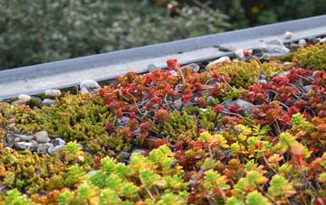 the cost of Little Mancot green roof installation