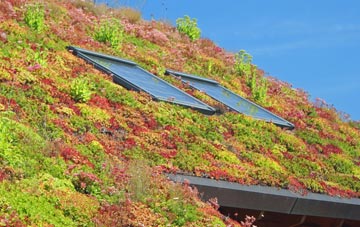 Little Mancot living roof systems